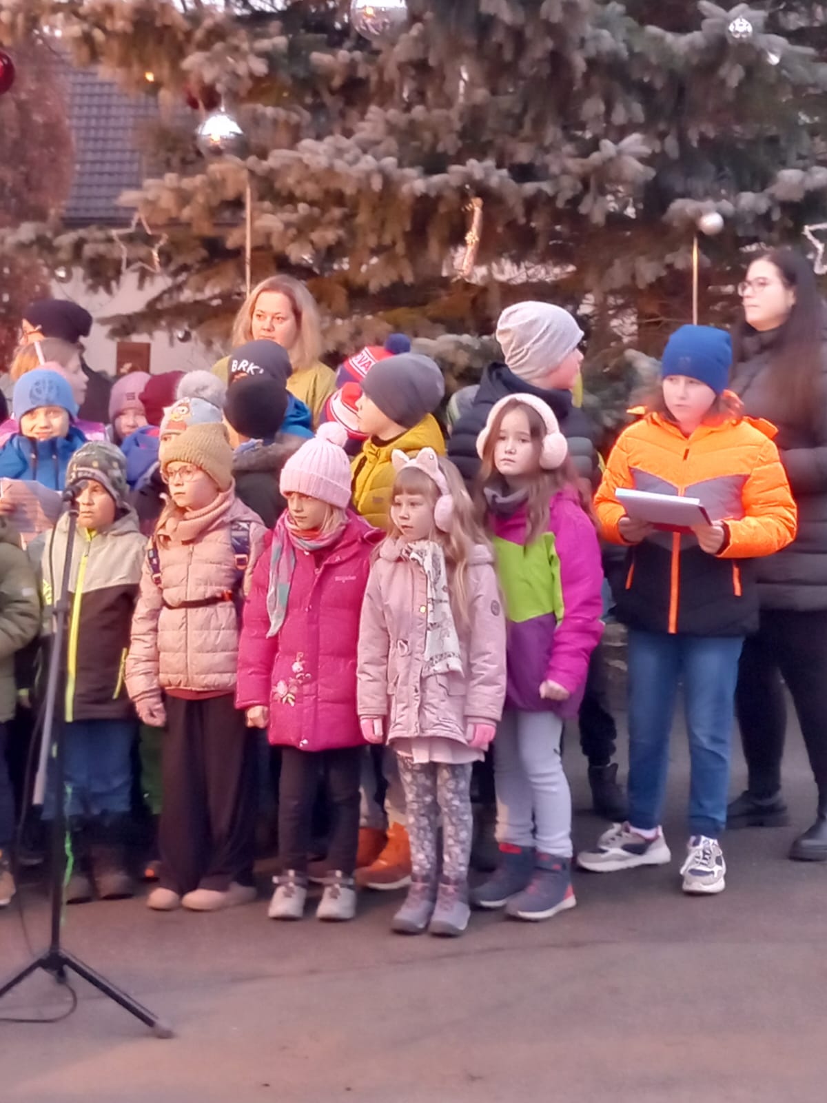 WhatsApp Image 2025-11-30 at 16.29.14