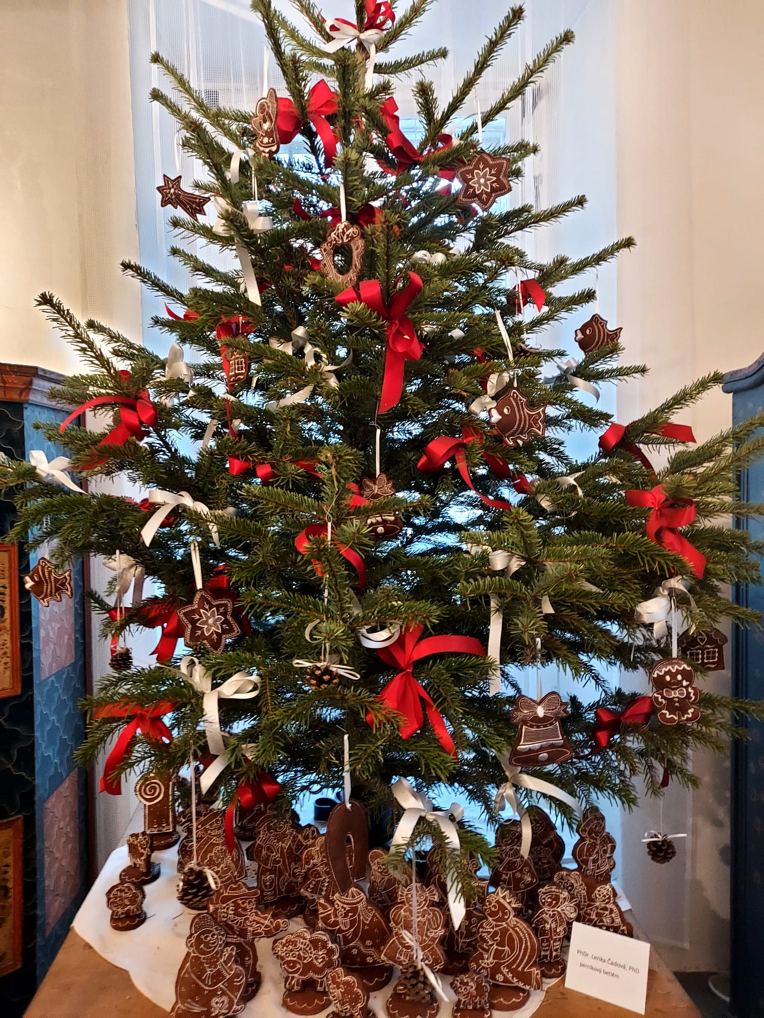 WhatsApp Image 2025-12-12 at 10.29.20