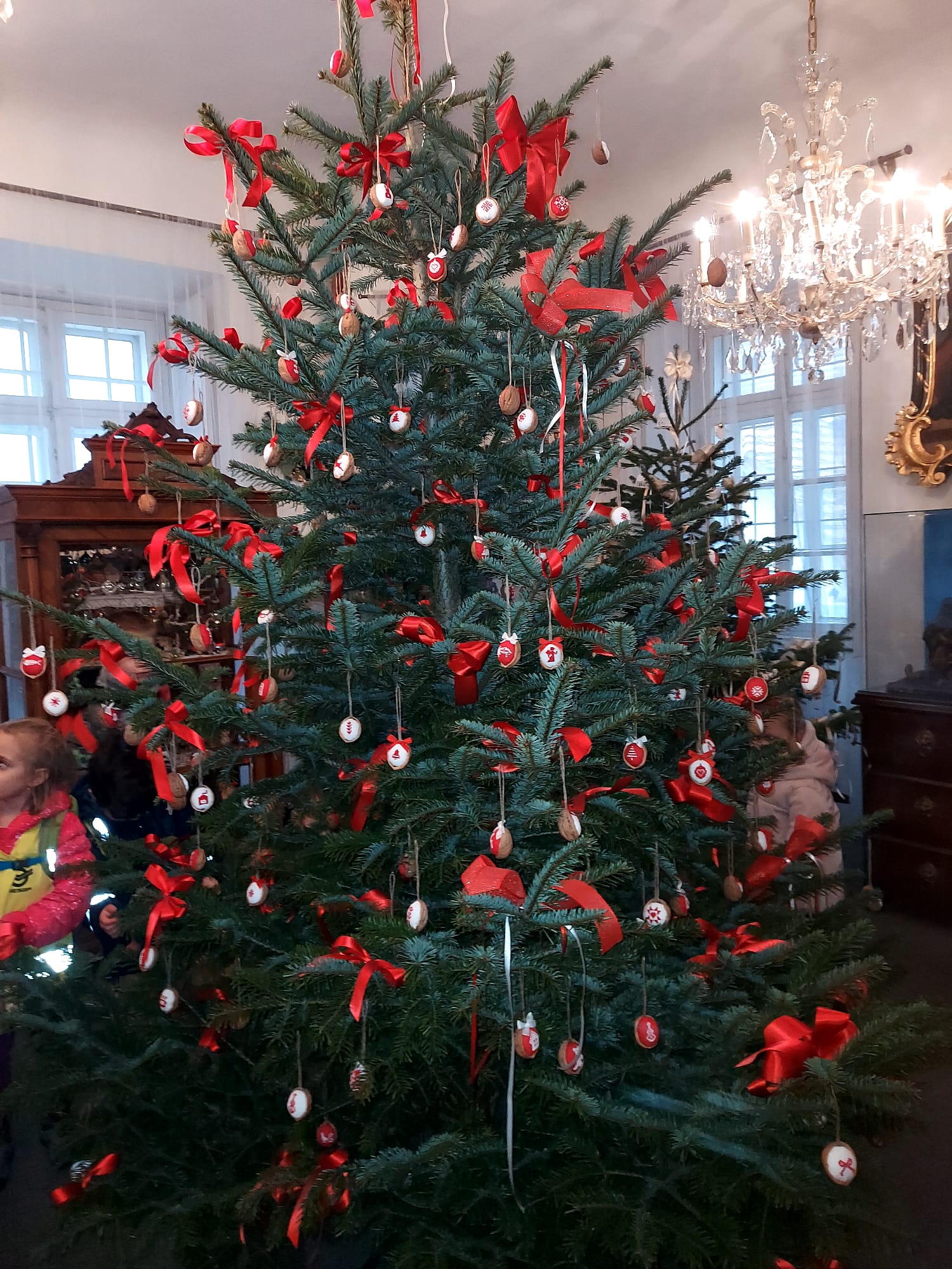 WhatsApp Image 2025-12-12 at 10.29.22